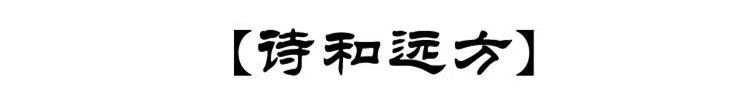 农家自产 梵净山金香橘