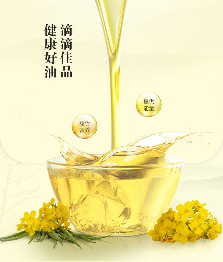 金龙鱼 【邵阳 洞口】洞口金龙鱼菜籽油1.8L/瓶