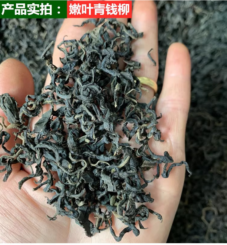 百里苗寨 邵阳绥宁青钱柳茶叶（花草茶)500g装