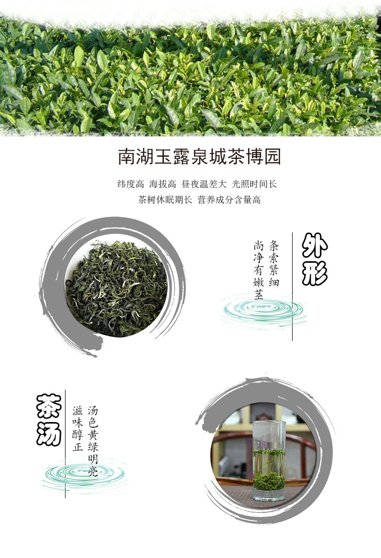 济南馆 泉城绿茶家庭款  年货节爆款