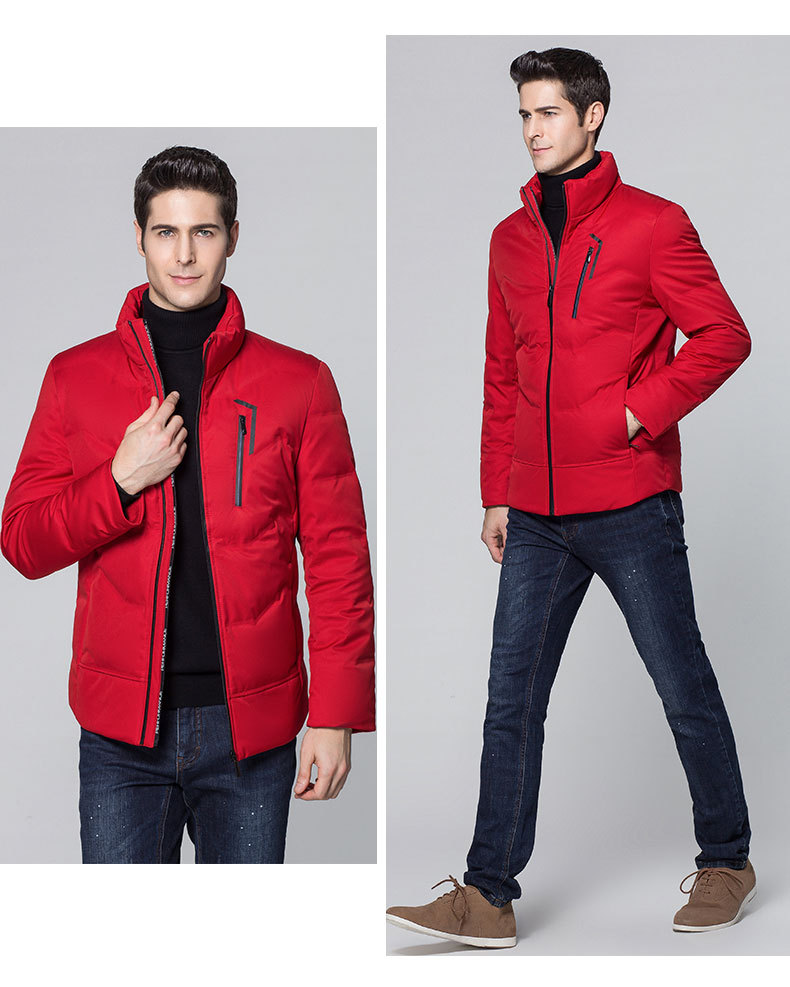 莱诗伯特   冬季新款男式羽绒服加厚中青年短款立领纯色保暖商务外套88003