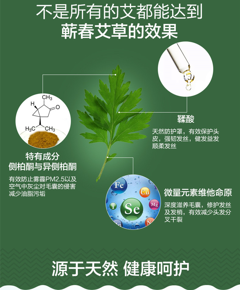 【蕲春馆】艾之康纯露蕲艾全身按摩美容院通用正品开背推拿刮痧通经络