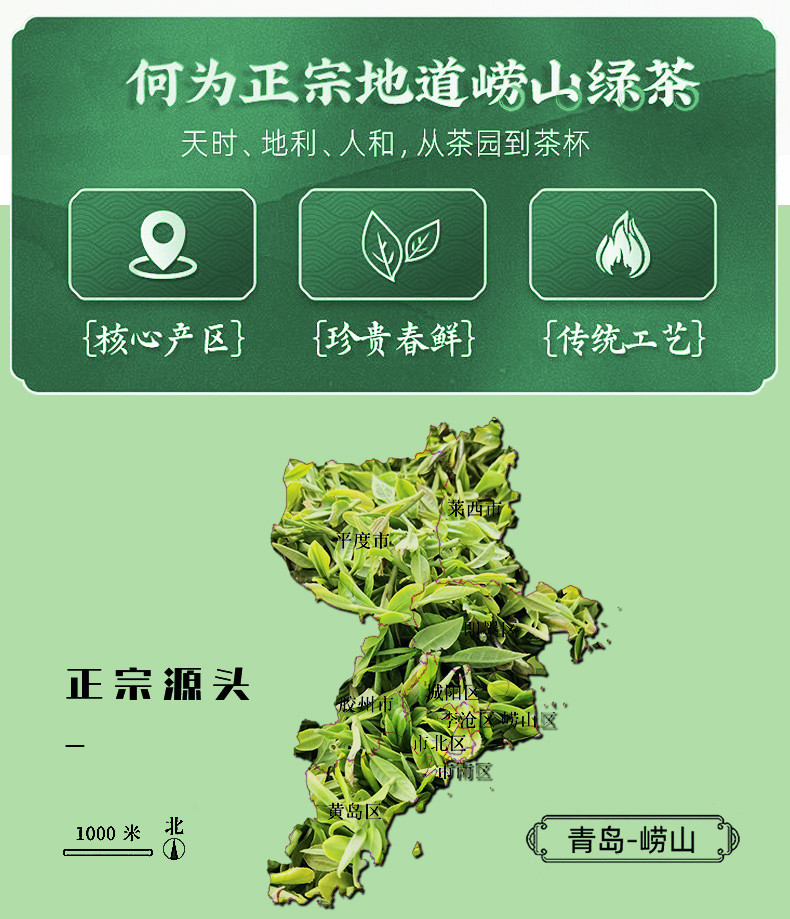 崂陈 崂山绿茶尝鲜装高山云雾绿茶随身装50g