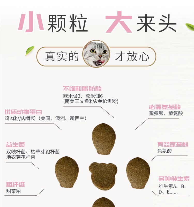 幼猫猫粮宠物食品奶糕猫食猫饭猫饲料流浪猫宠物粮