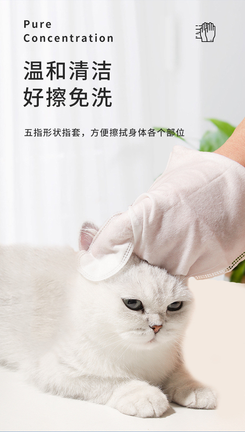 道力其  宠物免洗手套狗狗清洁SPA手套湿巾猫咪干洗除异味免水洗6片装 10片装