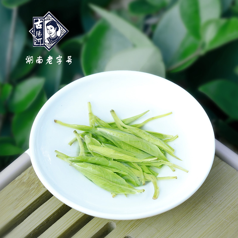 古阳河 【湘西】八彩古丈毛尖【2024明前茶】50g*1罐