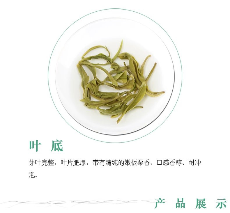 济南泉城茶 灵岩绿茶 茗泉春早礼盒  春茶 茶叶 200g/提