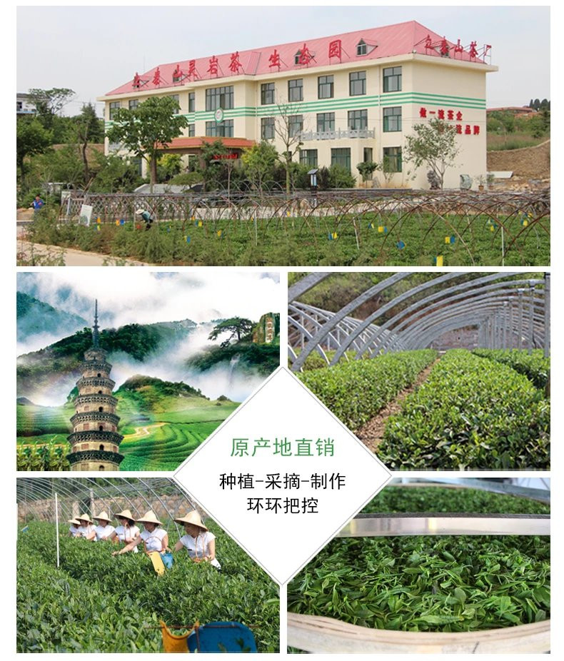 济南泉城茶 灵岩红茶  茗泉春早礼盒 春茶  茶叶 200g/提