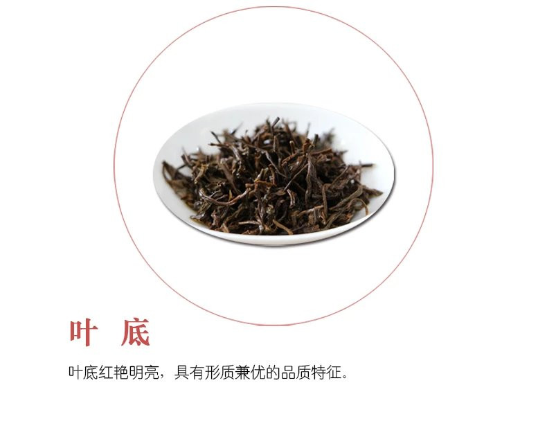 济南泉城茶 灵岩红茶  茗泉春早礼盒 春茶  茶叶 200g/提