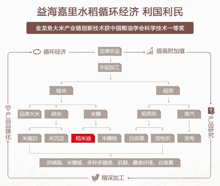 金龙鱼 谷维素 植物甾醇双一万10000ppm  稻米油5L