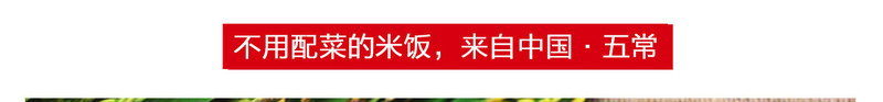 【纯种源 真五常】UME优安米五常大米尝鲜装（1斤） 东北大米 正宗五常稻花香