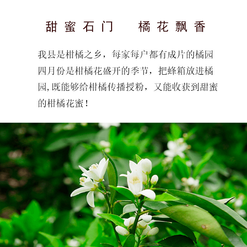 益添壹碗 【石门振兴馆】农家纯天然•柑橘花蜜 500g