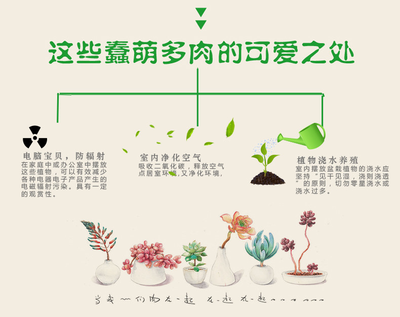 【四月小铺】精品多肉小植物 室内绿色微景观 小盆栽 办公室防辐射