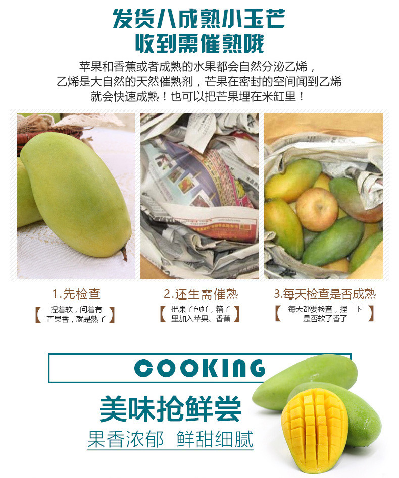 【四月小铺】玉芒果5斤装当季新鲜青芒果热带新鲜水果