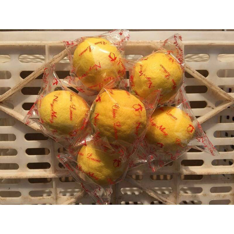 黄柠檬水果安岳新鲜采摘批发产地直发