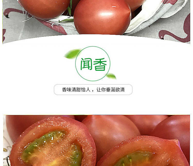 【水果型西红柿】5斤超值装春桃圣女果铁桃新鲜千禧