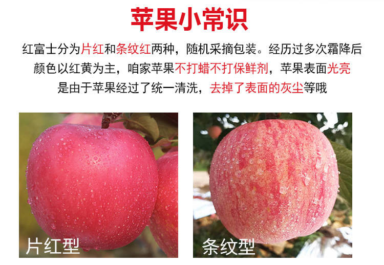 现摘红富士苹果5斤新鲜整箱水果批发糖心无蜡