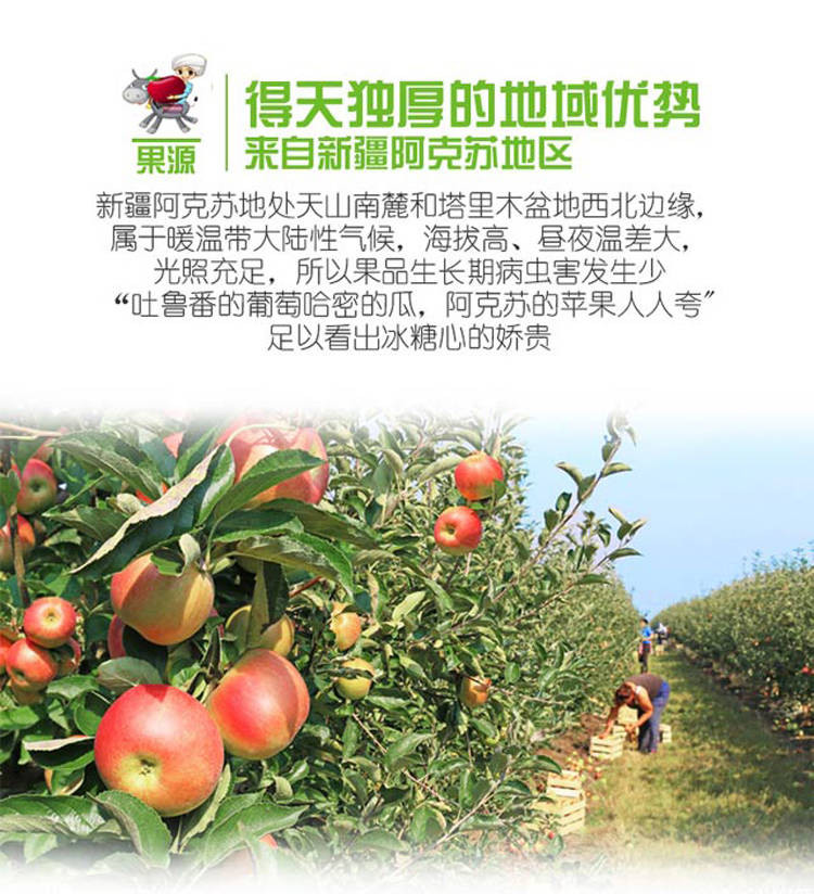 【特甜】新疆阿克苏苹果5斤 新鲜当季水果红富士批发整箱包邮