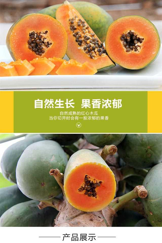 广西红心木瓜9斤 泡沫箱 现摘现发 新鲜水果9斤精选