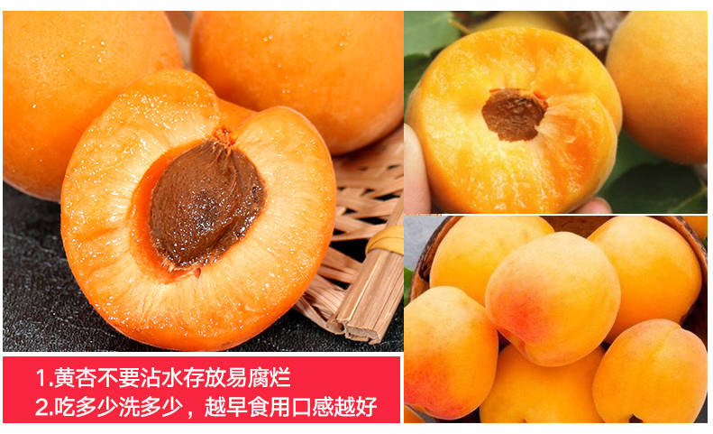 麦黄杏 新鲜水果5斤精选包邮现摘现发 大黄杏甜杏子