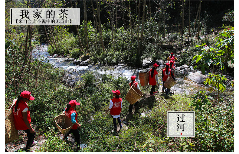 茶缘居景东无量山乔木龙珠古树普洱茶按粒出售十粒起拍