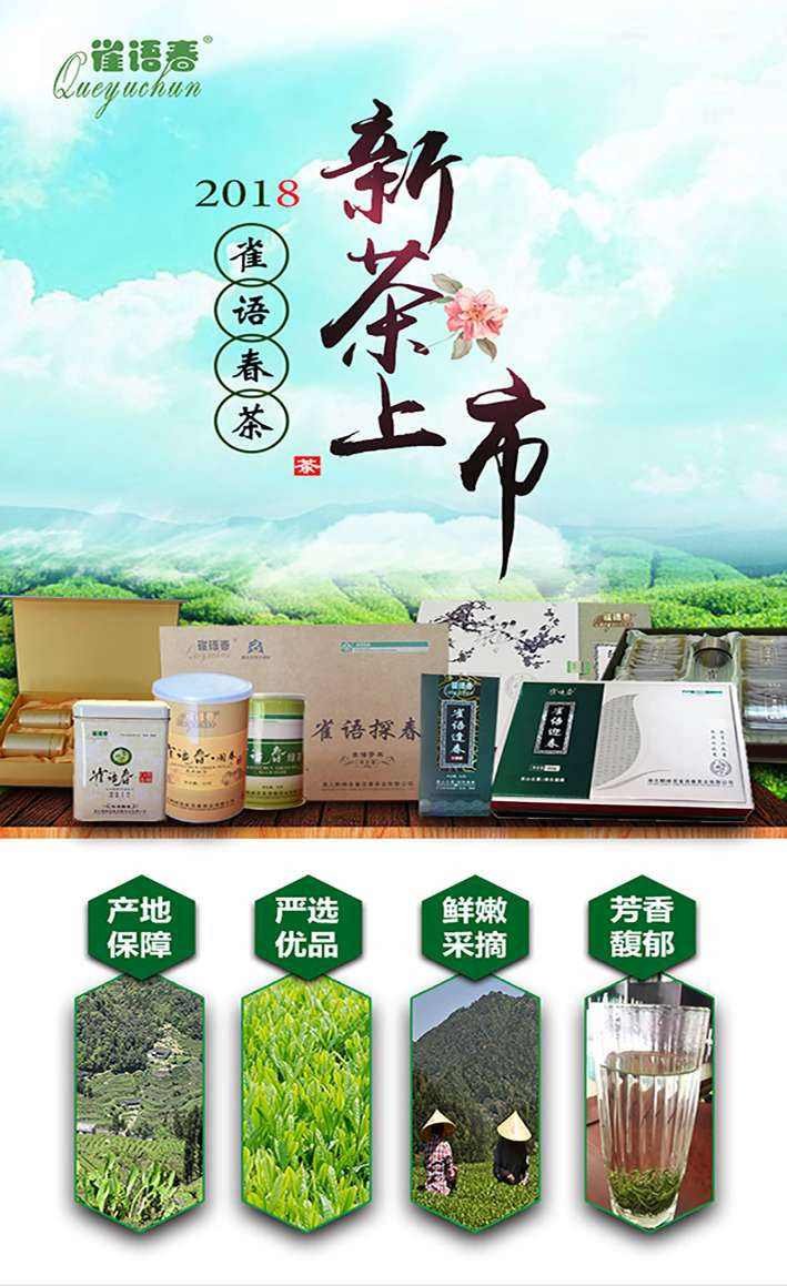 湖北恩施硒茶雀语春炒青5号绿茶袋装250g