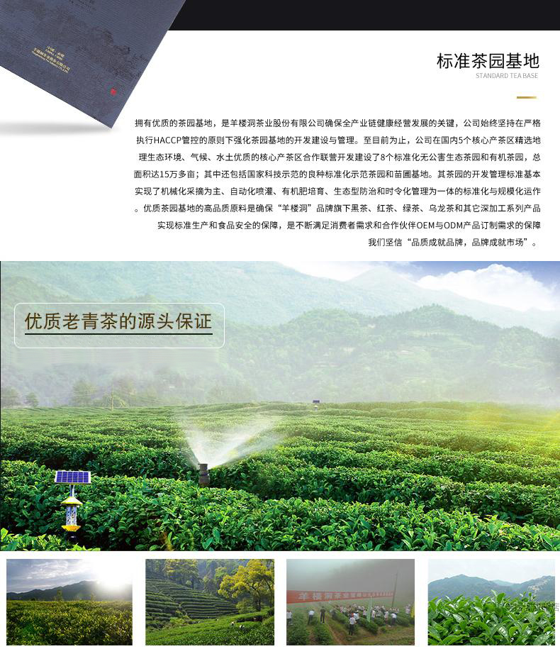 羊楼洞 摩崖石刻700g 茶叶 圆饼 黑茶 青砖茶 高档工艺礼品