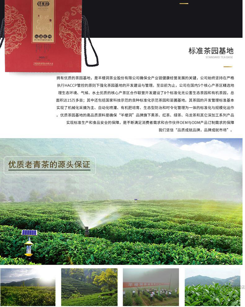 羊楼洞 福满乾坤160g老青茶 黑茶  湖北特产 工艺品 散茶