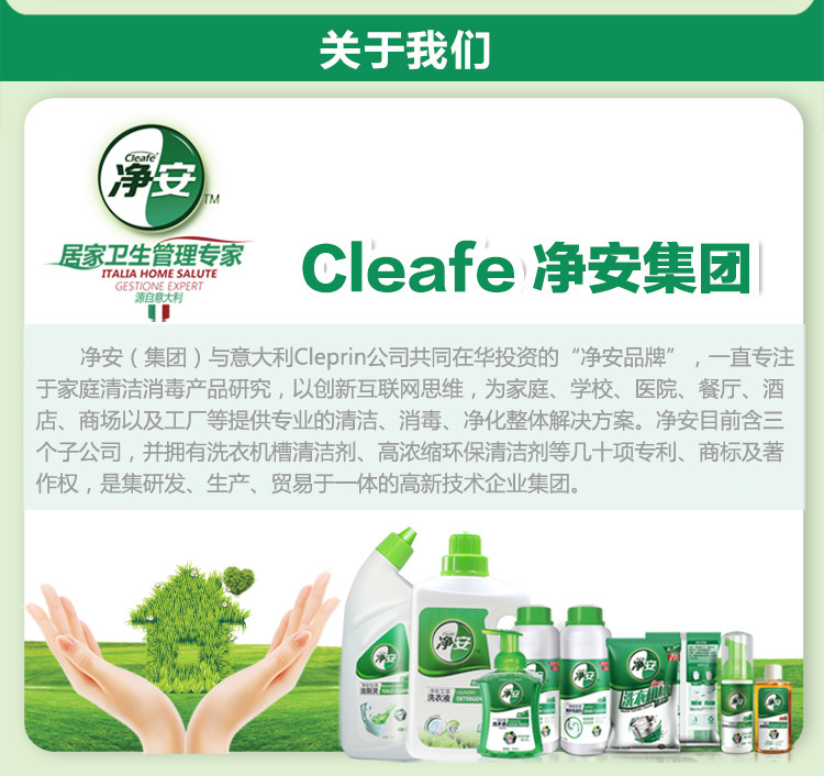 净安 （Cleafe） 冰箱除味盒 白晶活性炭竹炭包祛味除臭 冰箱除味盒50g*12