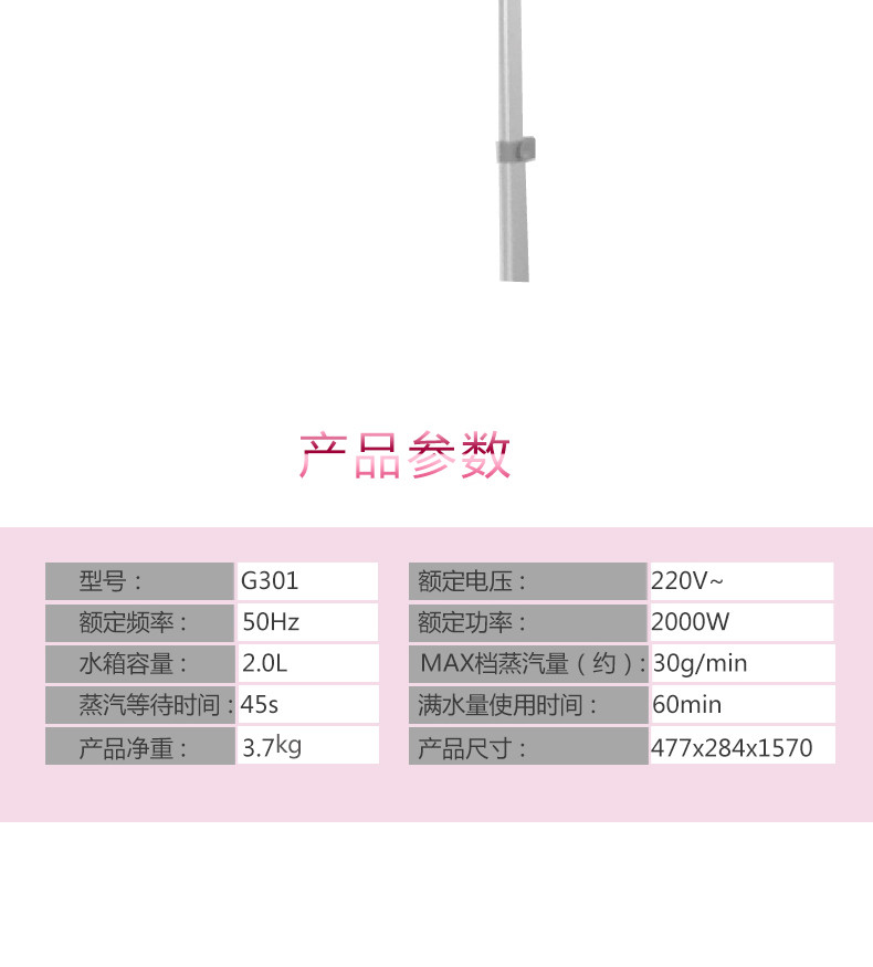 创维/SKYWORTH 百依百顺蒸汽挂烫机 G301