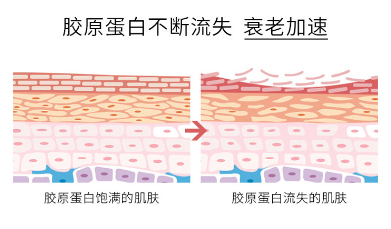 珀莱雅 海洋臻养紧肤礼盒紧致抗皱护肤品套装 （洁面+水+乳+眼霜+BB+面膜）10011669