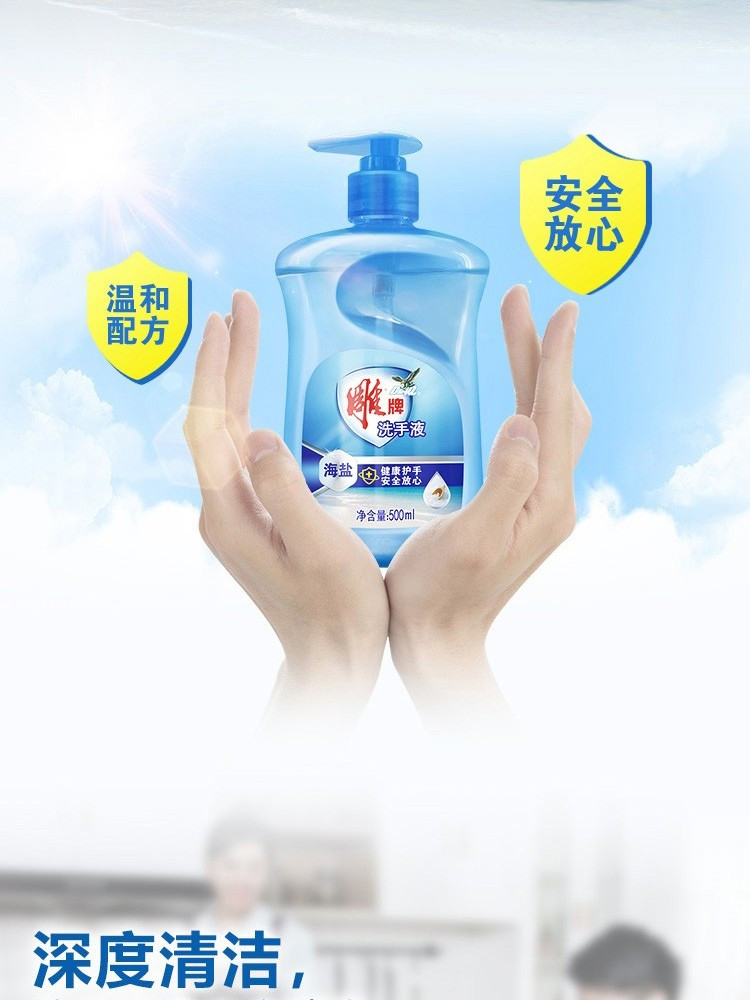 雕牌海盐洗手液 500ml*2瓶