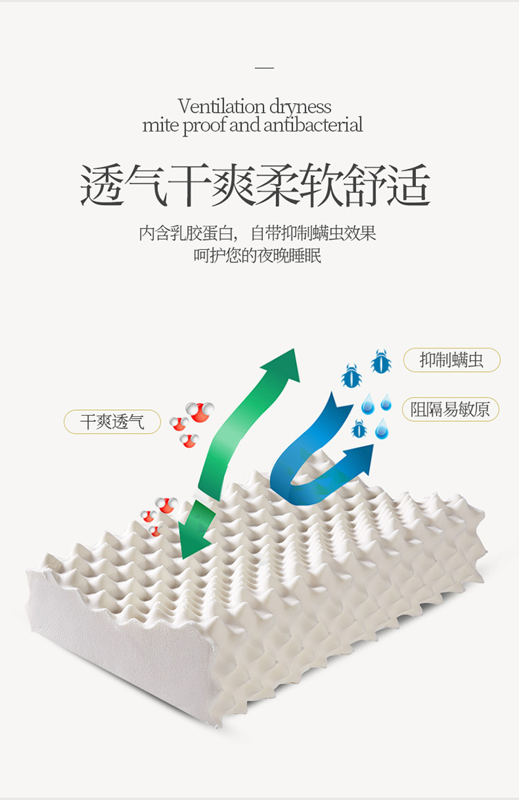 绿族 泰国乳胶枕