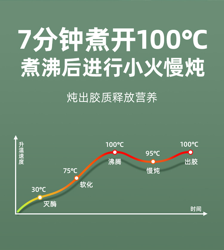 磨客 升级款元气养生杯   小型迷你花茶壶