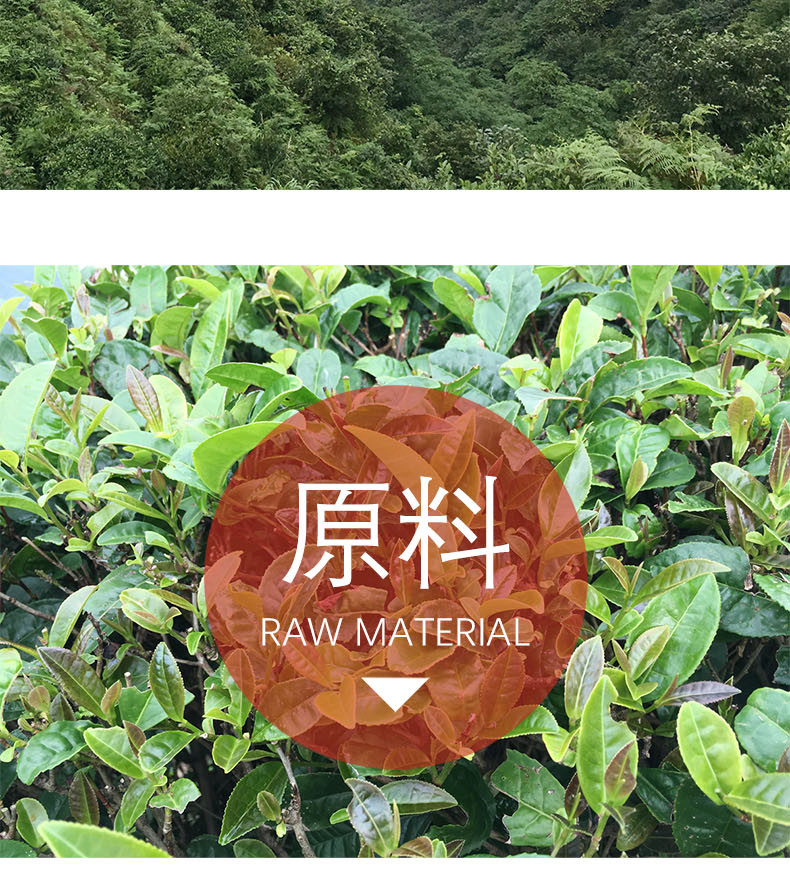 国殷 小罐茶·原叶金茯 乌龙茶 高山茶 茶叶礼盒装  96g 12罐