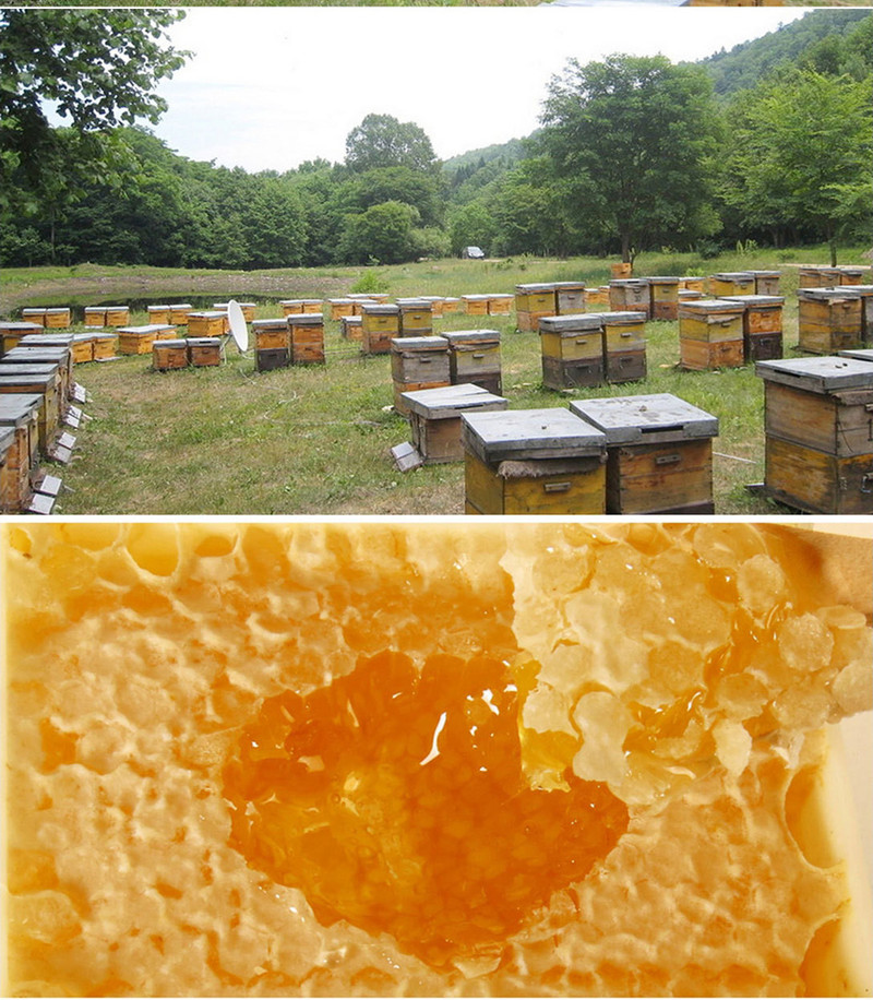 岳粮谷蜂巢蜜泰山特产蜂巢蜜嚼着吃蜂巢蜜