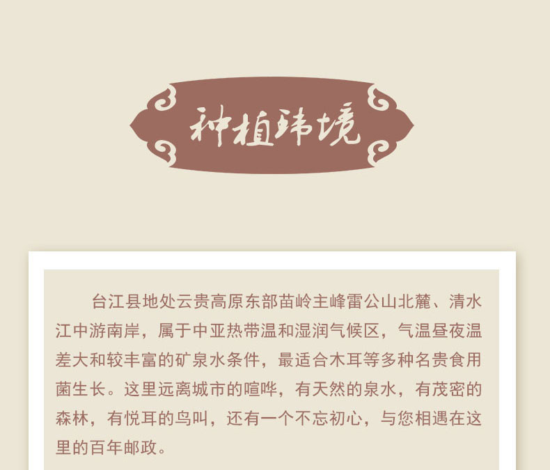 贵州省黔东南台江特产自营台江生态黑木耳 肉厚、无根、干货特产 200g省内包邮