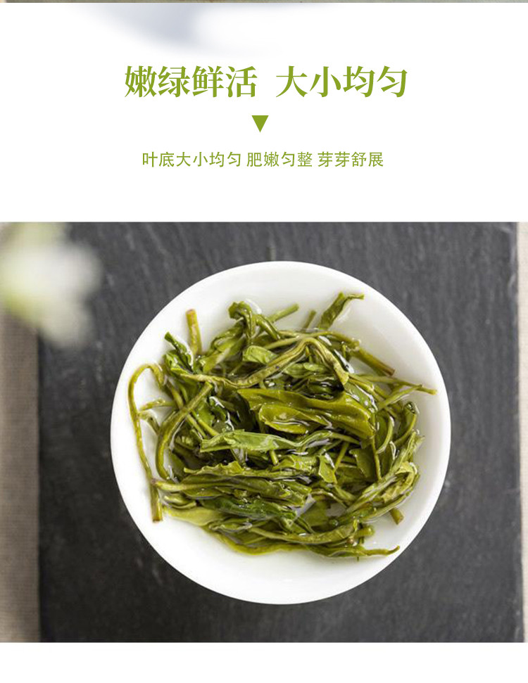 蜀馨 绿茶100g