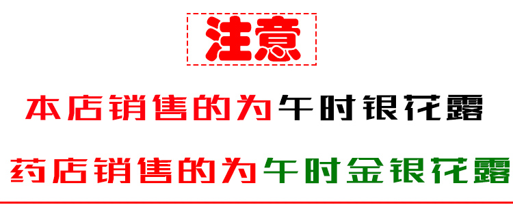 12瓶装湖北午时银花露金银花露饮料成人婴幼儿童宝宝上火清热降火