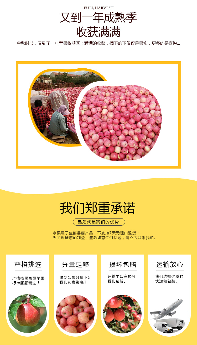 农家自产 【咸阳邮政】红富士苹果 当季新果 产地直发 果径75-80m