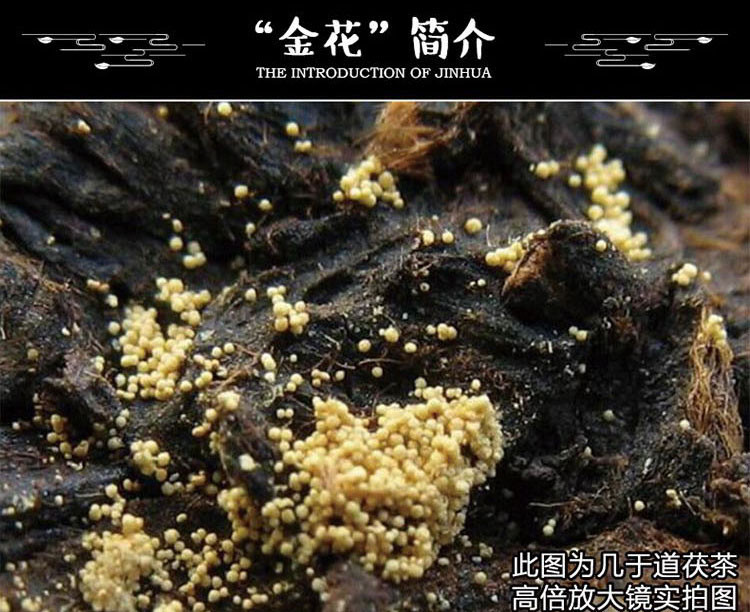 几于道 泾阳茯砖茶 泾新伏茶黑茶陕西手筑金花茶叶圆竹篓 600g