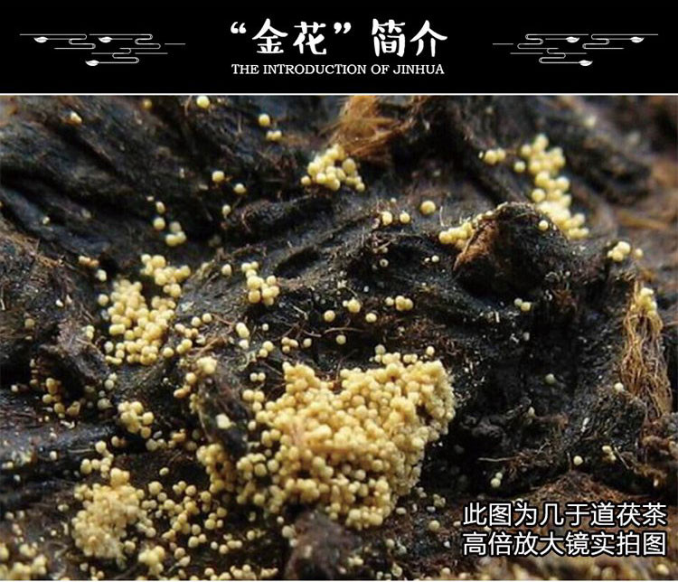 几于道泾阳茯砖茶 咸阳茯茶陕西黑茶手筑金花茶叶年货礼盒1000g