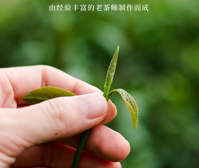 桃渊茗 武夷山茶叶大红袍250g 桃渊茗万里茶道系列 原产地包邮