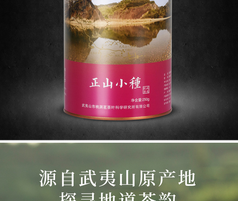 桃渊茗 武夷山茶叶正山小种250g 桃渊茗万里茶道系列 原产地直邮