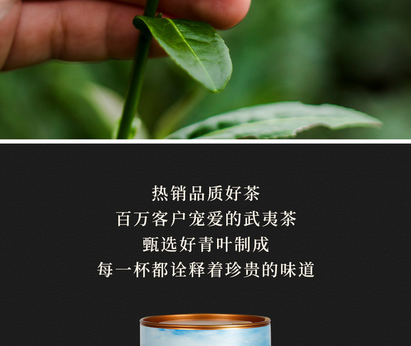 桃渊茗 武夷山茶叶大红袍250g 桃渊茗万里茶道系列 原产地包邮