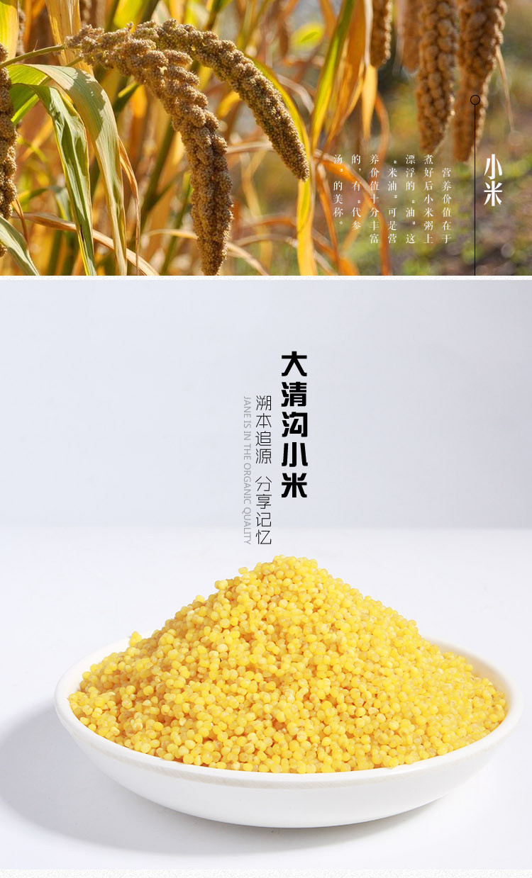 辽宁大清沟东北小米礼盒煲粥原料3.5kg