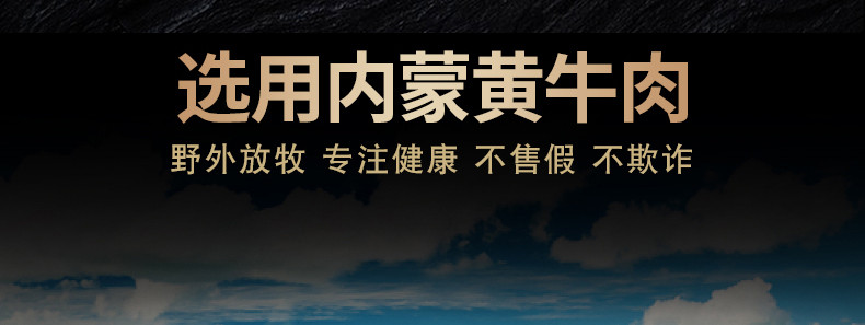  草原安代 手撕牛肉干 200g 原味 内蒙古特产风干牛肉干