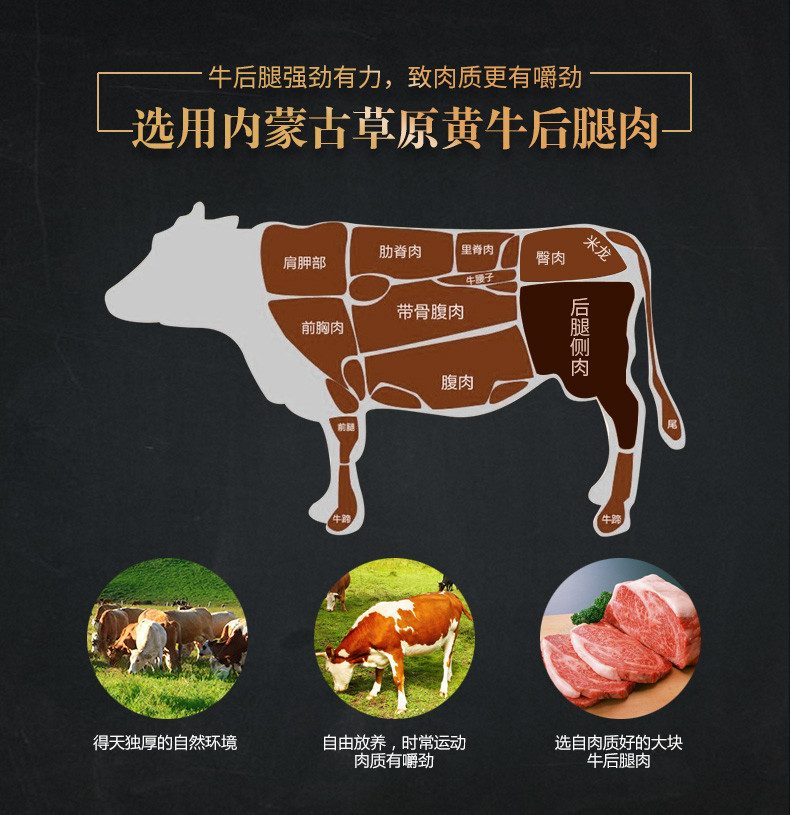 草原安代 手撕牛肉 250g 孜然味 内蒙古特产风干牛肉干 办公室零食