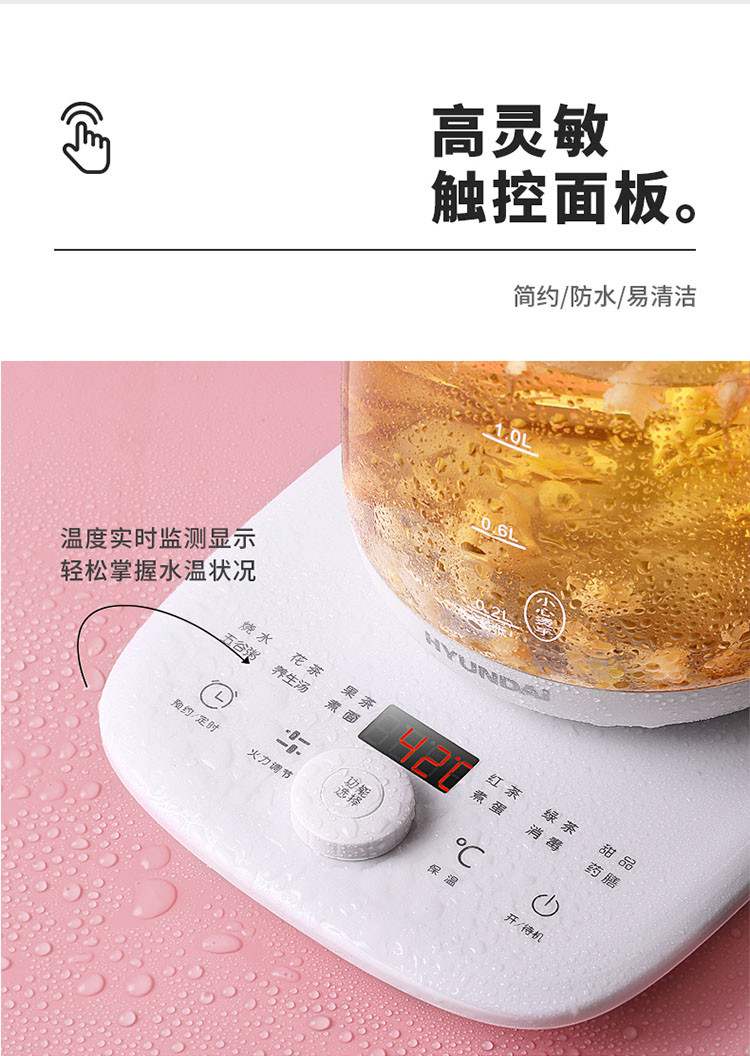 韩国现代（HYUNDAI）家用养生壶煎药壶加厚玻璃电热水壶QC-YS1533