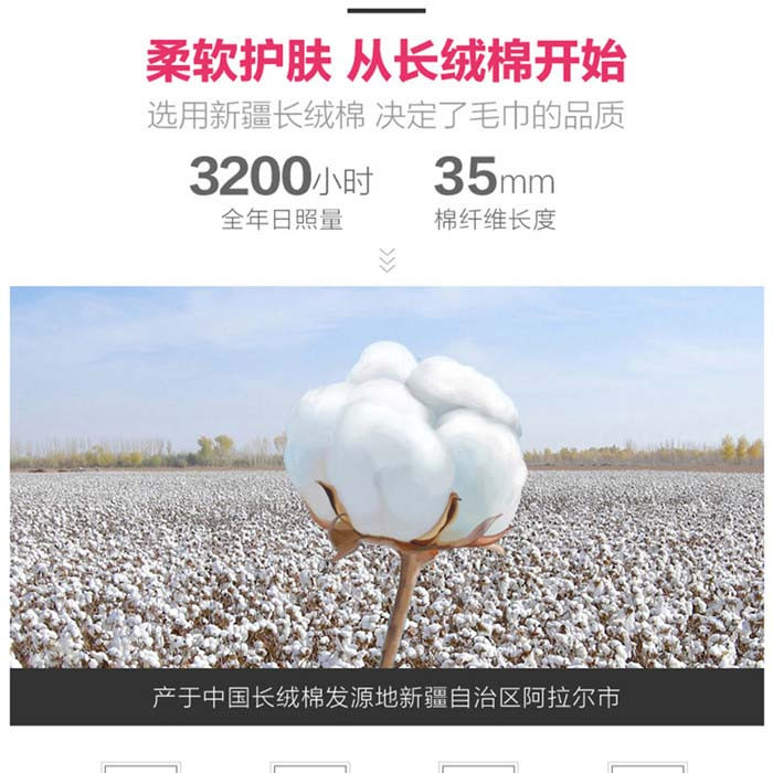 洁丽雅 毛巾礼盒装纯棉毛巾情侣套装面巾2条柔雅-溢彩双条装